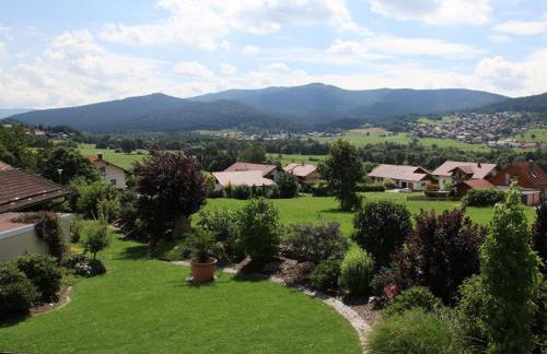 Ferienwohnungen Gästehaus Schreiner - Foto 28