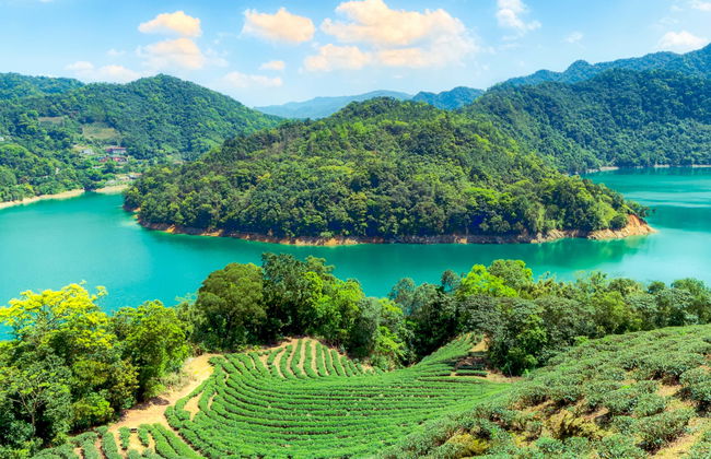 Tour del té por Pinglin - Foto 1