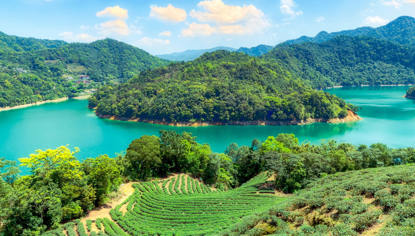 Tour del té por Pinglin - Foto 1, Tour del té por Pinglin