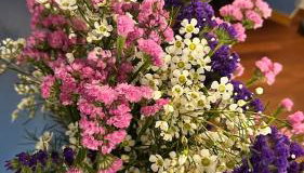 Pace Blu Roma - Photo 4