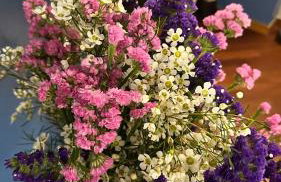 Pace Blu Roma - Foto 4