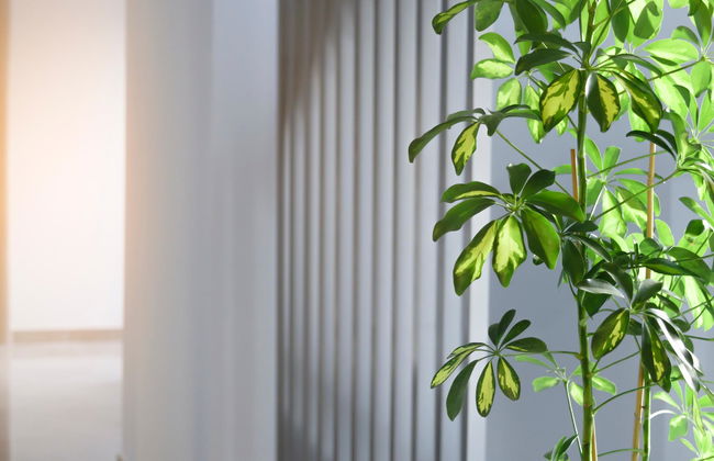 Summer Inn - Foto 30