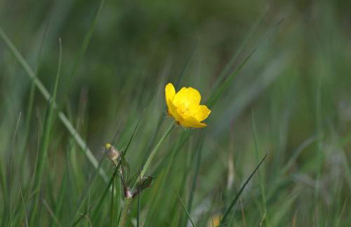Long Meadow Shepherd Hut - Brecon Beacons, LD3 7TD - Foto 55
