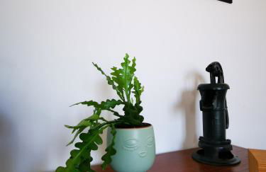 Villa Irene - Photo 104