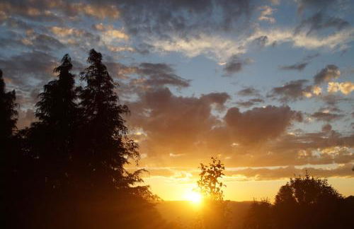 La Lamponaia - Foto 27