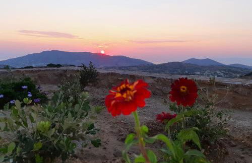 Villa Adeiata - Photo 50