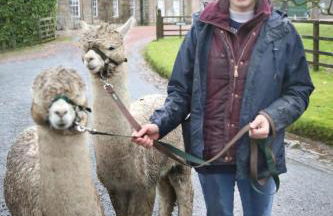 Cameron Cottage - Photo 38