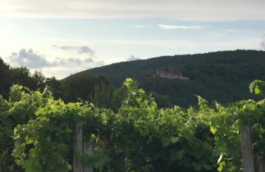 Ferienwohnung Wanderlust - Foto 9