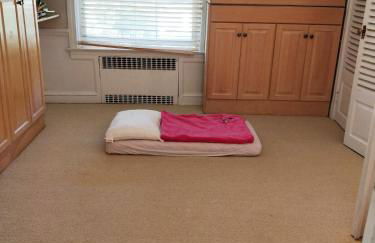 Stunning, Large, Waterfront Retreat - Foto 7