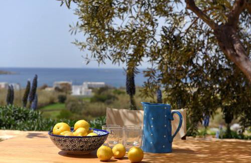 Good Life Greece Eco Villas - Foto 16
