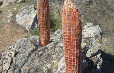 Los Tres Hórreos - Foto 80