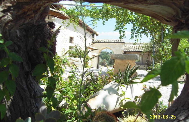 Le due Palme - Il Paradiso di Adamo - Photo 41