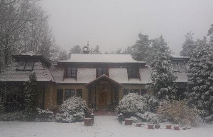 Lisi Dwór - Foto 13