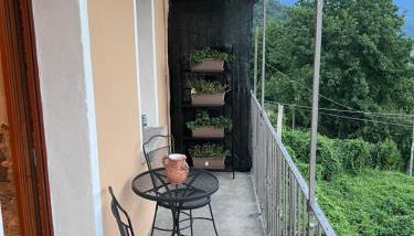 Butterfly's House - Foto 4