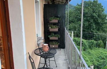 Butterfly's House - Foto 4