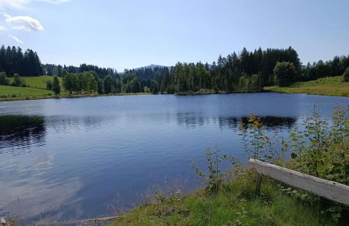 Haidműhle Šumava - Foto 15