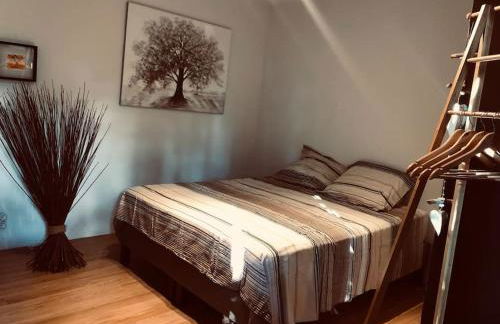 Maison et parking privé proche zénith et volcans. - Foto 10