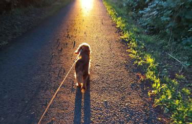 Saughall Mill Farm Cottage - Photo 152
