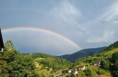 Ferienwohnung Panter- Traumaussicht im Schwarzwald - Foto 20