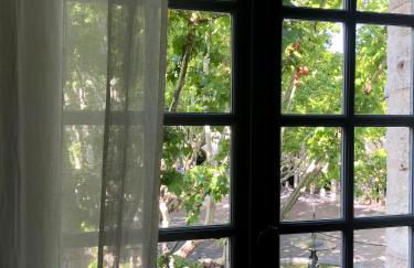 La bohème place aux herbes - Foto 10