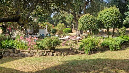 L’oléado - Foto 2