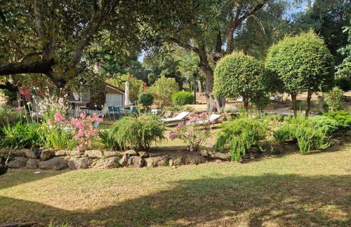 L’oléado - Foto 2