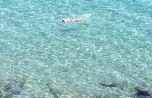 Costa Dorada Miami - Foto 17