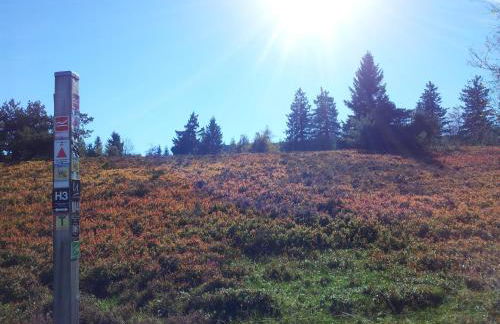 Ferienwohnung Panorama II - Foto 27