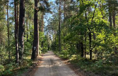 Wiluki Nasz Dom - Foto 36