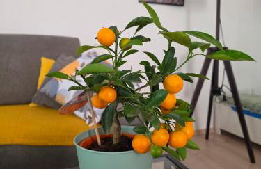 Live & Stay at JAZZ apartment - Photo 1