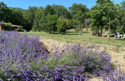 Lou Souleu - Foto 18