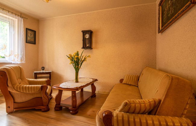 Villa Bieszkowice - Foto 41