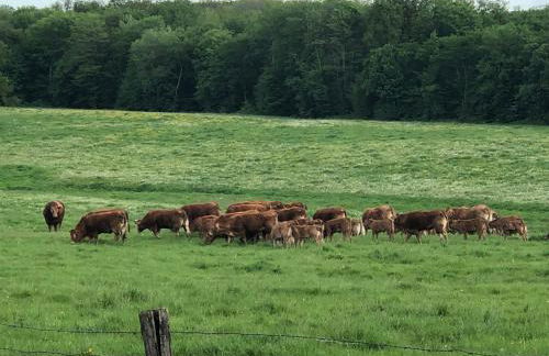 Mare aux nénuphars - Foto 26