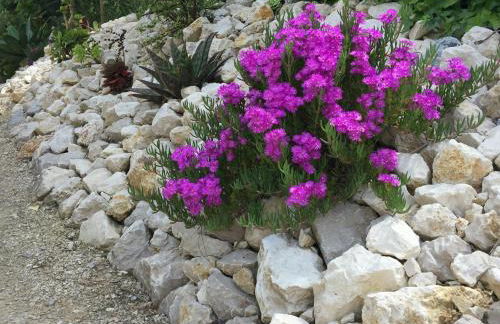 Quinta do Meco - Beach & Nature - Foto 48