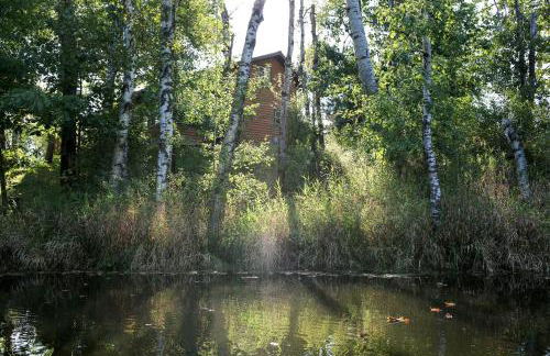 Lakefront Cabin Rental with a Paddle Boat near Wisconsin Dells, Wisconsin - Foto 12