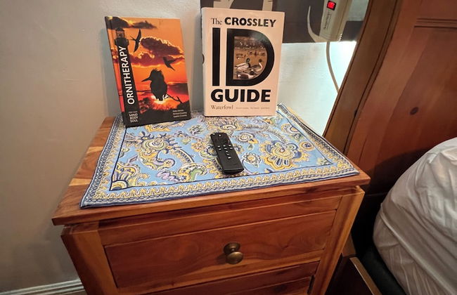 Hummingbird Mountain Cottage - Photo 5