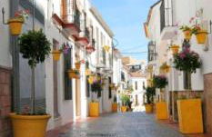 EsteponaCies - Photo 47