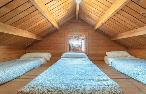 Falaguera Barraca 2 - Foto 14