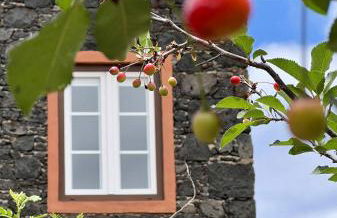 Casa Rural Las Guindas - Cozy Rural House, Hierro - Foto 17