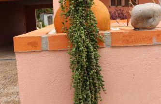 Casa do Avô Gil - Foto 15