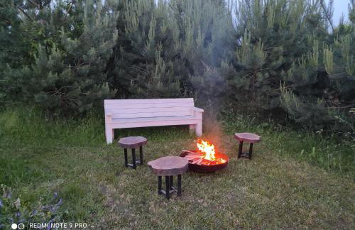 Domki w brzozach - Foto 9