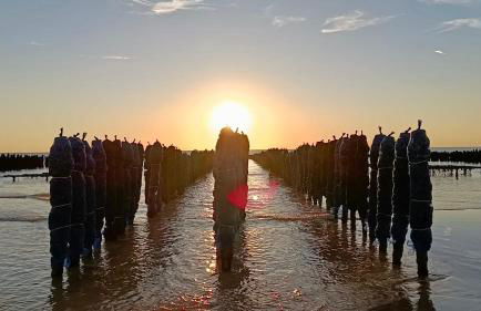 Studio DUNES de NALA avec balcon vue Dunes et latérale Mer pour 4 pers 100m plage wifi ménage compris - Foto 39