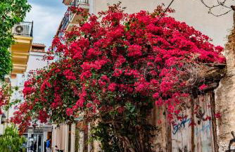 KrinesGReece - Foto 61