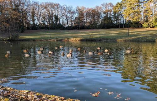 Villa provençale et familiale - Foto 35