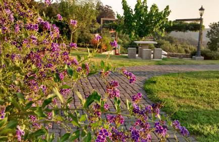 Eira dos Canastros - Foto 40