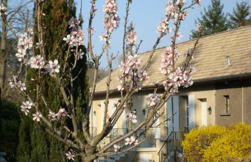 Les Communs du Manoir - Foto 36
