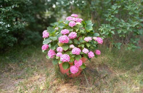 Gîte Harmony - Foto 29