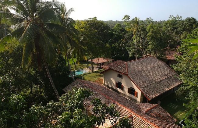 The Mugatiya - Foto 42