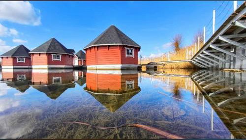 Ferienhaus im Gänseried - Foto 4