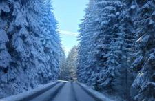 Sowie wzgórze - Foto 21